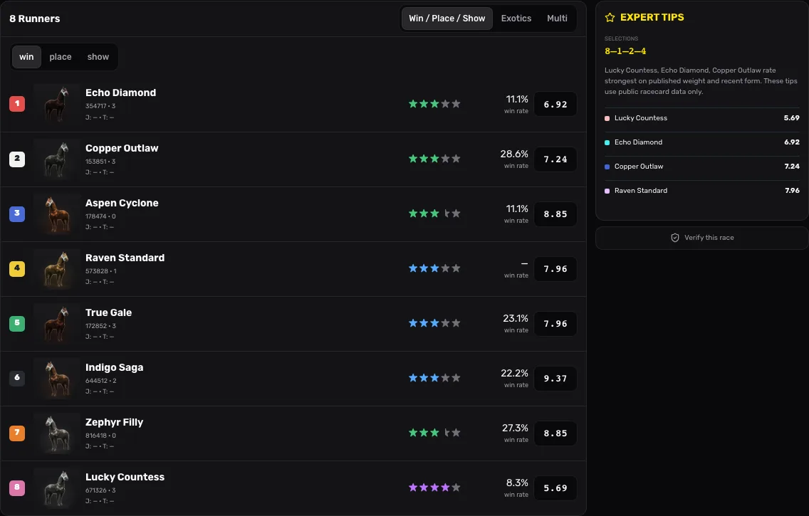 Tilt Racing live race viewer with the field and betting market